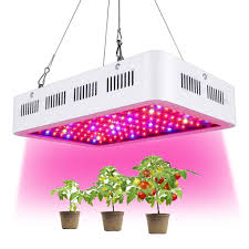 1 000 W LED Växtlampa för Inomhusväxter
